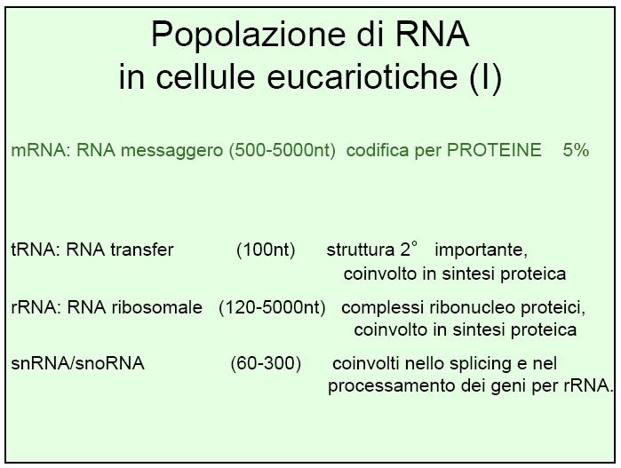 espressione