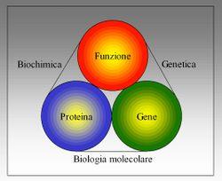 DNA, RNA