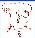 Trascrizione e prodotti genici Sintesi di un filamento di mrna su uno stampo di