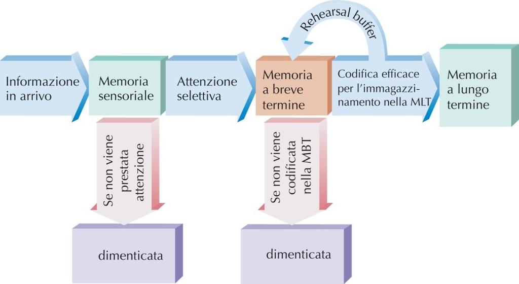 Modello di