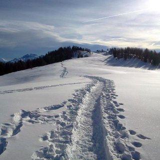 Passeggiate sulla neve La Thuile offre una varietà di sentieri battuti e segnalati per piacevole passeggiate invernali winterwanderwegen, che permettono di camminare comodamente senza sprofondare