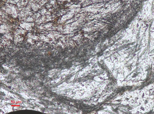 ANALISI IN SEZIONE SOTTILE Tra le sezioni sottili osservate al microscopio petrografico si sono selezionate quelle più rappresentative per la ricostruzione della storia metamorfica e deformativa.