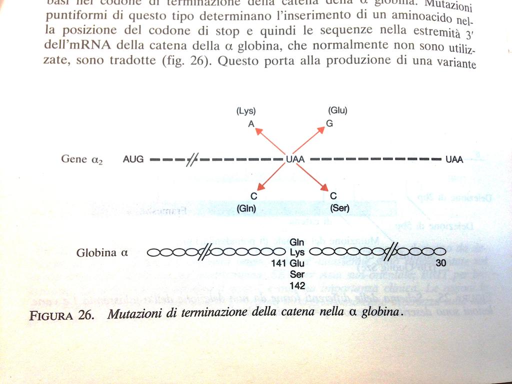 Stabilità