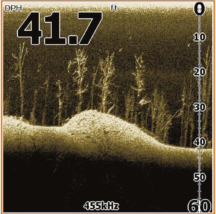 Pagine Vegetazione Pesce Pagina DSI Frequenza Visualizza la colonna d acqua che si sposta