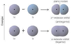 MOLECOLE BIATOMICHE MONONUCLEARI La forma degli orbitali è quella soprariportata La