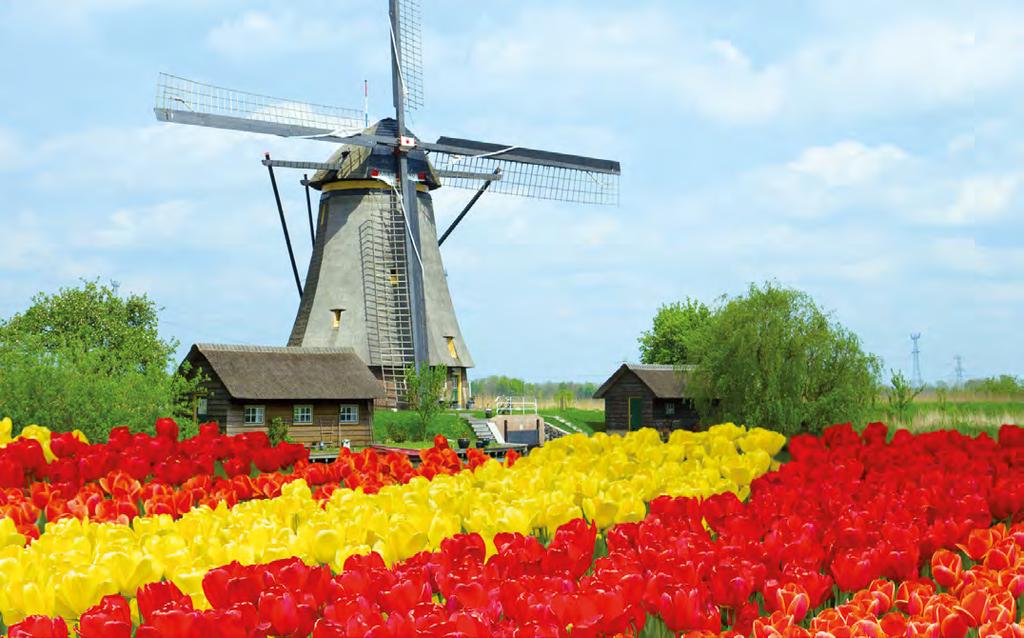 Primavera in Olanda le crociere dei tulipani a bordo della M/n Verdi êêêê I tulipani sono il simbolo dell Olanda e di Amsterdam in particolare.