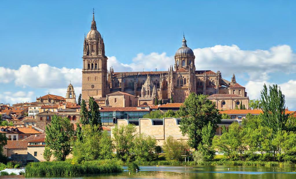 Salamanca Salamanca Situata lungo le sponde del fiume Tormes questa importante città universitaria spagnola vi sorprenderà per la sua bellezza: le strette vie si susseguono ad angoli suggestivi per