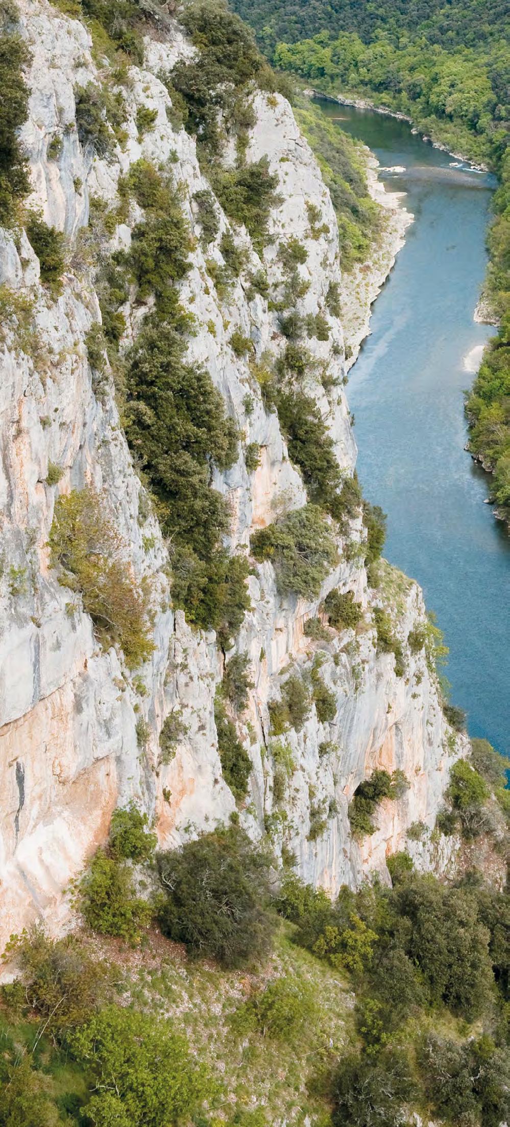 Crociera lungo il Rodano e la Saona Direzione e Staff turistico NOVITA' Provenza e Camargue - Provenza : terra di suggestioni e dalla mille sfaccettature, antichi villaggi arroccati, importanti