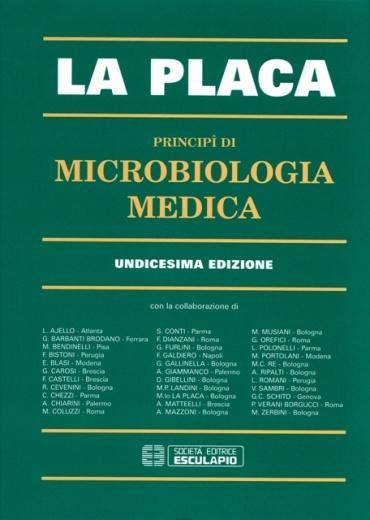 Organizzazione del Corso Testi consigliati: La Placa M.