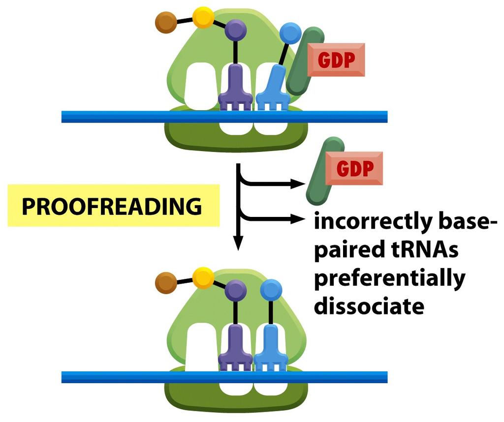 Figure 6-67 (part 4 of 7) Molecular