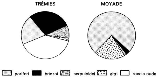 52 Fig. 4 - Ricoprimento biologico in una grotta a fondo cieco ed in una grotta a tunnel (da HARMELIN et al., 1985, modificato). al., 1986; SGORBINI et al., 1988; FICHEZ, 1991a).