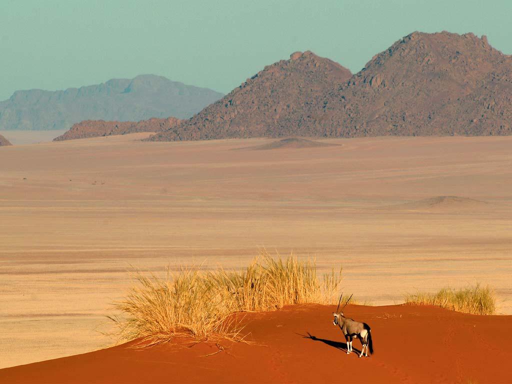 L Essenza della Namibia 8 notti in Namibia La Namibia, una serie di altipiani, di cui il maggiore ne compone l asse nord-sud; un grande deserto a ovest, quello del Namib, che si estende fino a