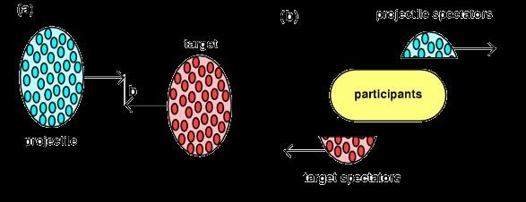 La centralità y Parametro di impatto b : vettore nel piano trasverso definito dai centri dei due nuclei b Il parametro di impatto(b)