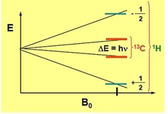 L isotopo C presenta problemi di sensibilità: per scarsa abbondanza naturale (1%) Il basso valore di rapporto giromagnetico