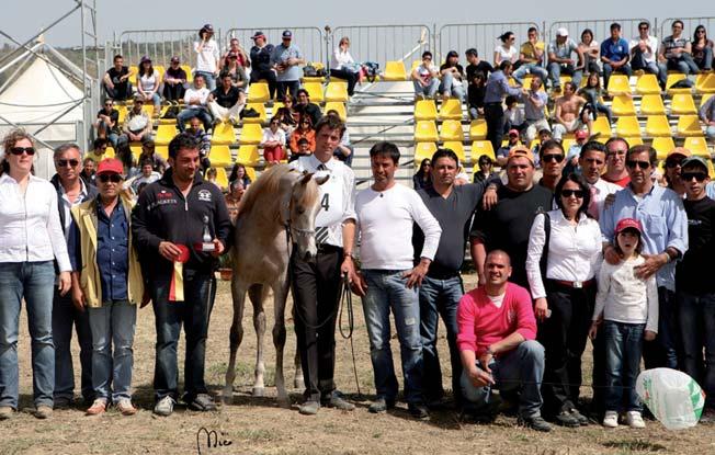 The organizer of the event was the Agrigento Provincial Breeders Consortium with the support of the Municipality, of the Pro- vince and in cooperation with the Regional Breeders Association and