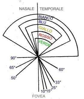 retina alla luce diurna