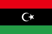 EXPORT MARCHE verso LIBIA Quote settoriali dell'export Marche verso la Libia Export 2015 Libia in euro totale export Libia Elettrodomestici e Apparecchi elettrici 7.205.