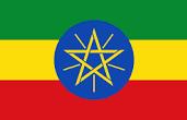 EXPORT MARCHE verso ETIOPIA Quote settoriali dell'export Marche verso l'etiopia Export 2015 Etiopia in euro totale export Etiopia Elettrodomestici e Apparecchi elettrici 3.460.