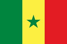EXPORT MARCHE verso SENEGAL Quote settoriali dell'export Marche verso il Senegal Export 2015 Senegal in euro totale export Senegal Prodotti chimici e farmaceutici 2.186.816-9,4% 32% Meccanica 1.874.