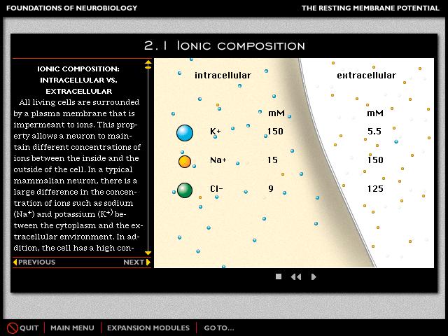 Different ionic concentration between the inside and the outside of the cell.