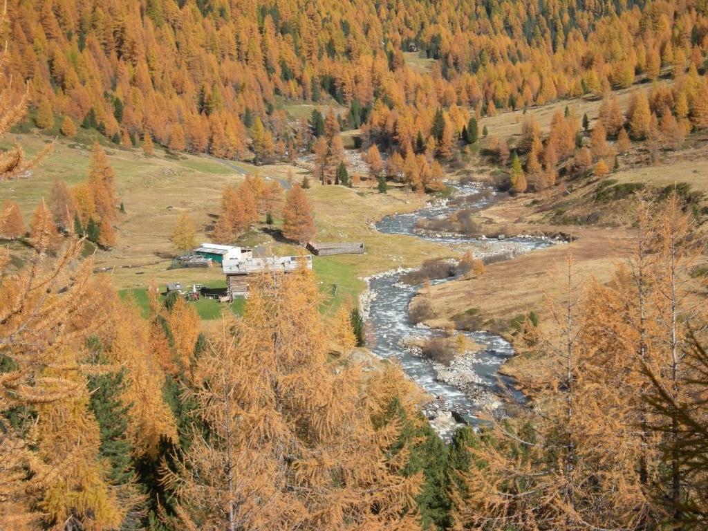 L acqua di Lombardia: ACQUE DI LOMBARDIA Risorse rinnovabili - Precipitazioni: 27 miliardi m3 Riserve - Laghi: 120 miliardi m3 Falde