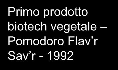 Sav r - 1992 Pomodoro che