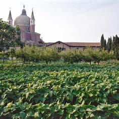 DATA LAVORO: 01/06/1988 CODICE: