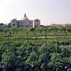 MESE: GIUGNO Nr.