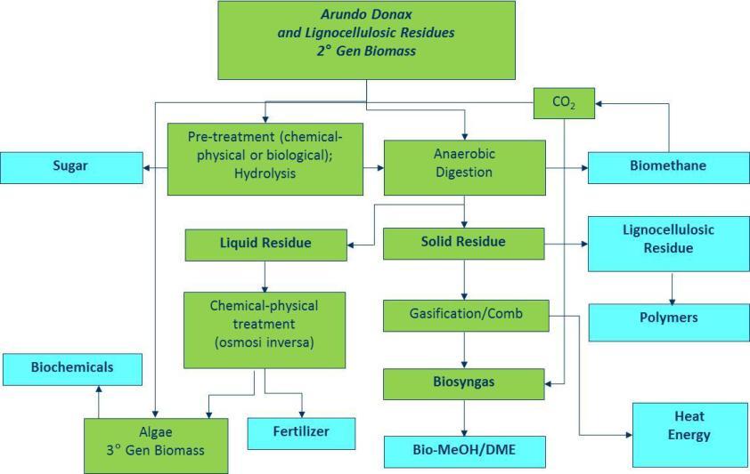 Regione Lombatrdia CARILPLO BIOREFILL - project ID 42611813 Picture II