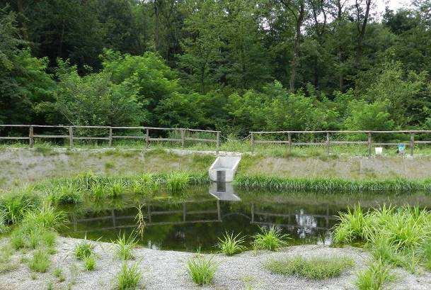 Interventi realizzati dal Parco Pineta