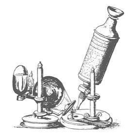 La scoperta delle cellule e la teoria cellulare Nel diciottesimo secolo il matematico, fisico, astronomo e naturalista inglese Robert Hooke (1635-1702), usando un microscopio di sua invenzione, notò