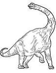 La parola dinosauro viene spesso usata per indicare tutti quegli animali vissuti nell Era mesozoica, anche se erano molto diversi tra loro.