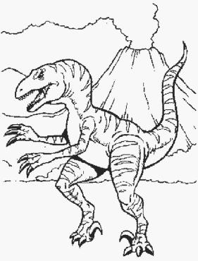 COME SI MUOVEVANO? I dinosauri erano bipedi o quadrupedi. I bipedi camminavano su due zampe, i quadrupedi su quattro zampe. Esistevano anche dinosauri che camminavano in entrambi i modi.