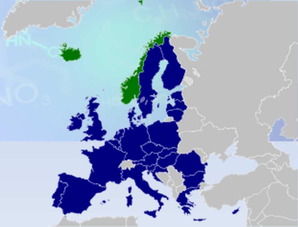 Fabbricante: ogni persona fisica o giuridica stabilita nell UE che fabbrica una sostanza all interno dell UE Importatore: ogni persona