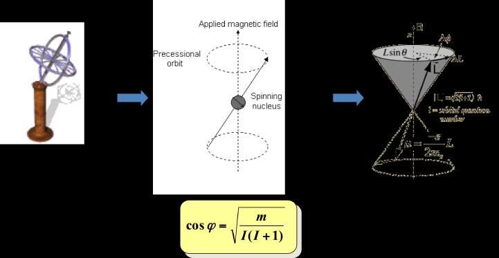 2.2) Trattazione classica e NMR in onda continua (NMR-CW) L equazione del moto del momento angolare del nucleo nel campo magnetico (Fig. 2) diretto lungo z è d J! dt =! µ B!