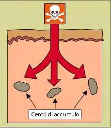 Abrasioni e ferite permettono una penetrazione veloce delle sostanze nell organismo.