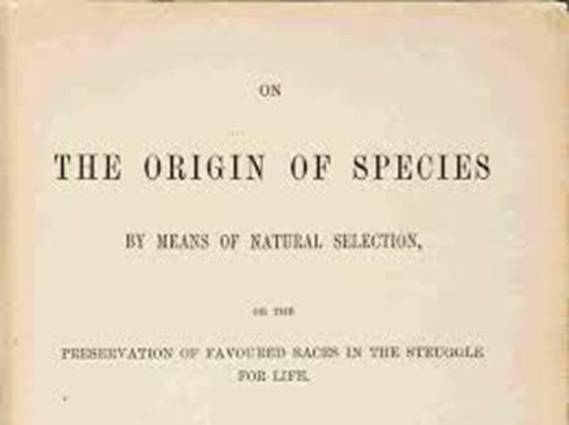 TEORIA DI CHARLES DARWIN L'evoluzione per selezione naturale