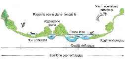 INTEGRITA ECOLOGICA (Fiume) Qualità chimico fisica (Qualità acqua) Qualità idromorfologica (Qualità acqua e struttura) Qualità biologica ambiente fluviale (Vita acquatica e terrestre)
