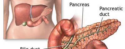 Anatomia del pancreas endocrino CELLULE α o A = produzione di