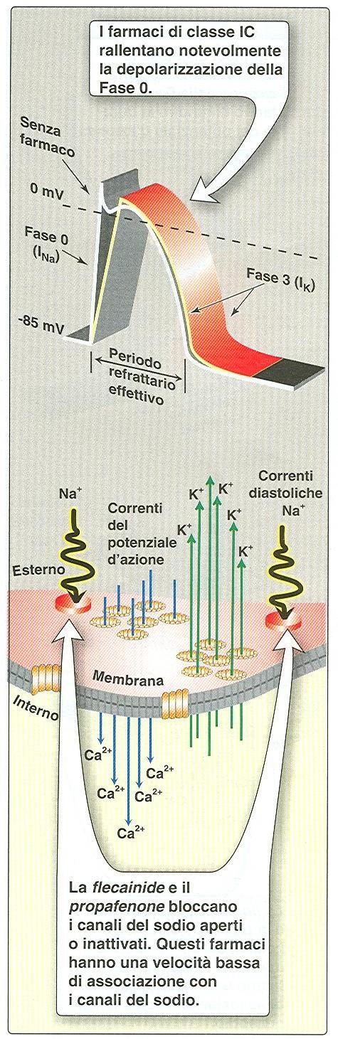 ENCAINIDE FLECAINIDE