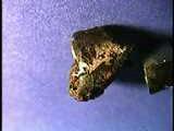 ferro e materiali rocciosi simili agli Asteroidi di Tipo S Condriti Il maggior numero di meteoriti ricade in questa classe e sono di