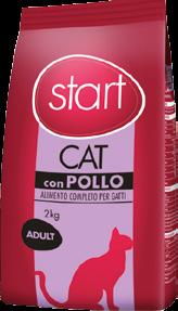 START CAT pollo -