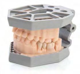 L elevato valore di allungamento della GR-11 fanno sentire il dentista e il paziente comodi e sicuri. GR - 11 euro codice conf.