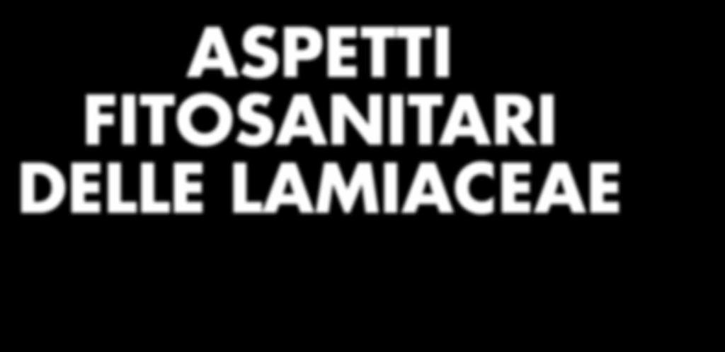 * Maria Grazia Bellardi In Italia, le specie aromatiche e ornamentali appartenenti alla vasta famiglia delle Lamiaceae sono coltivate in Italia soprattutto in Liguria.