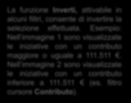 tratteggiato, consente di dimensionare i pallini delle iniziative in