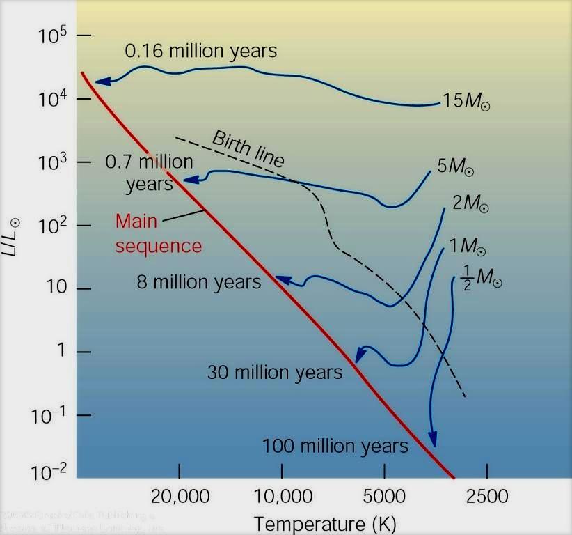 L evoluzione di pre-sequenza Le stelle massicce evolvono verso la sequenza principale in molto meno tempo di quelle di piccola massa. Le stelle appena formate sono grandi ma fredde.