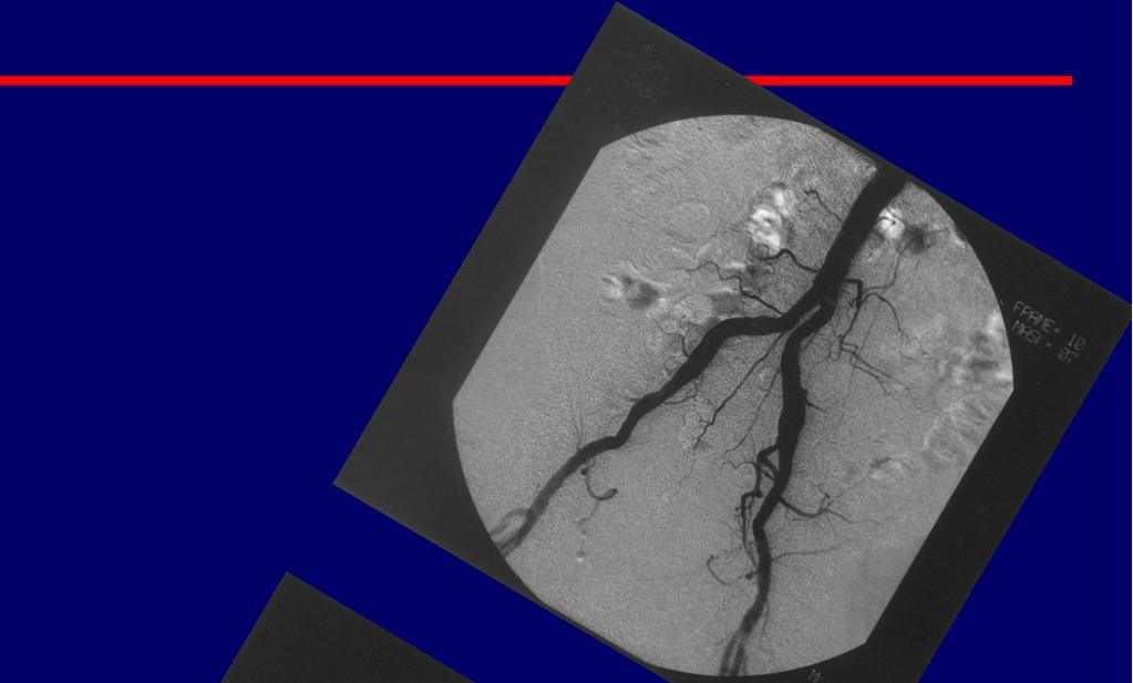 SISTEMI ED UNITA DI RADIODIAGNOSTICA