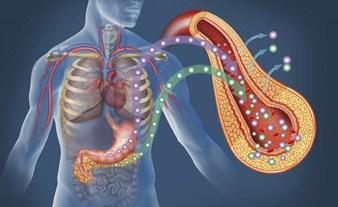 Le attività di ricerca nella lotta contro il diabete 03/02/2016 Italia e nel mondo I numeri del diabete, in Diabete di tipo 1 Il diabete di tipo 1 è una patologia cronica in cui il pancreas non è più