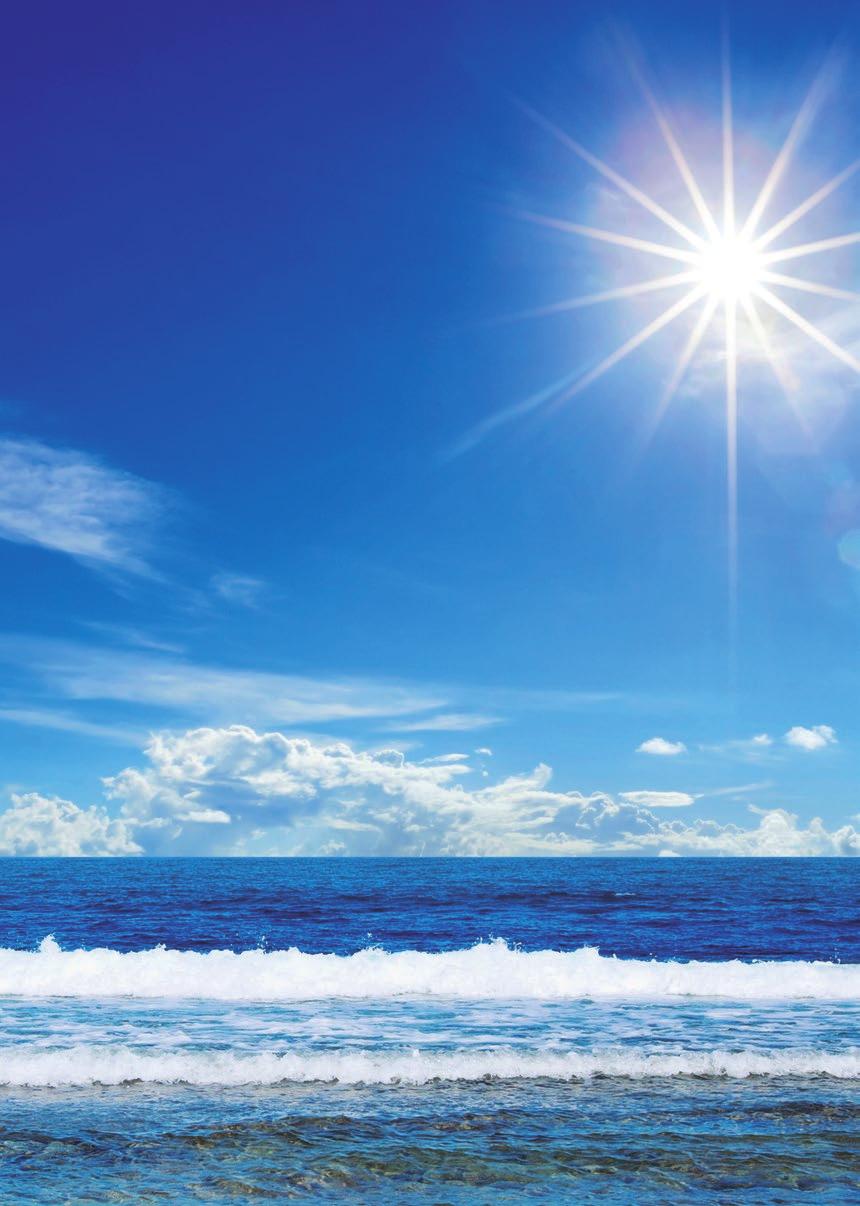 Il mare, il sole ed un sorriso. Questi elementi tipicamente mediterranei formano il nostro logo. d il vento, mbat.