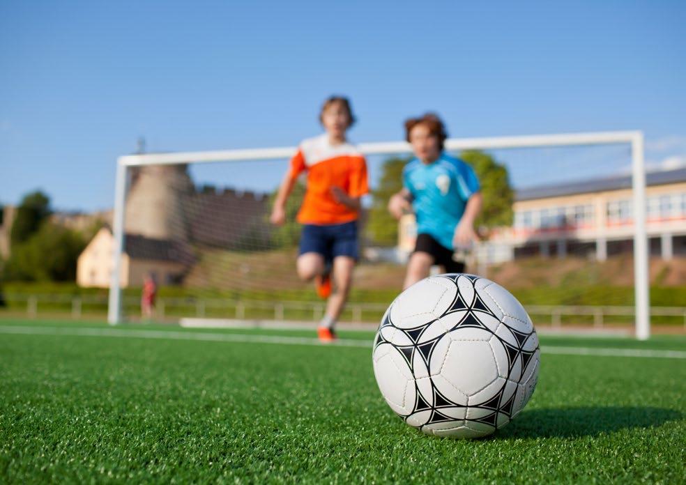 Sport e giovani Diffusione della pratica sportiva per i giovani Assegnate 481 dote sport (87mila euro) 167 classi coinvolte con i Progetti A Scuola di sport (16 Istituti